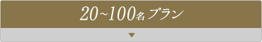20-100