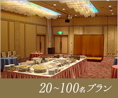 20-100名プラン